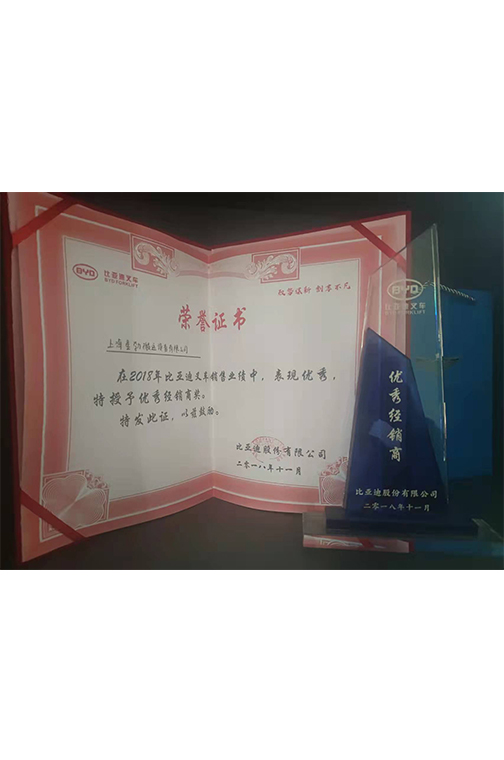 金山区比亚迪2018优秀经销商