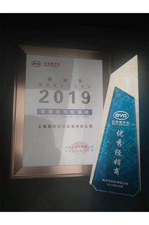 金山区比亚迪2019优秀经销商